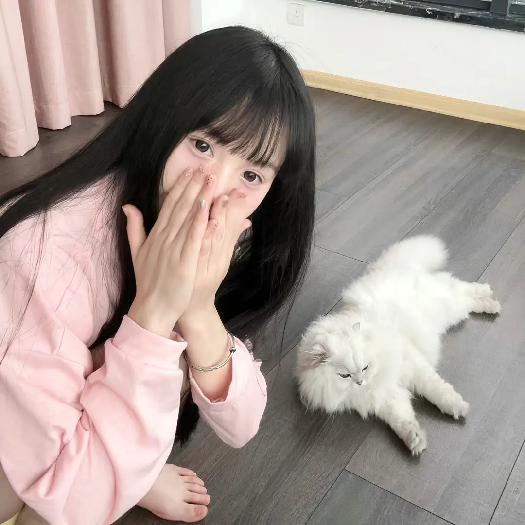 至上之法
