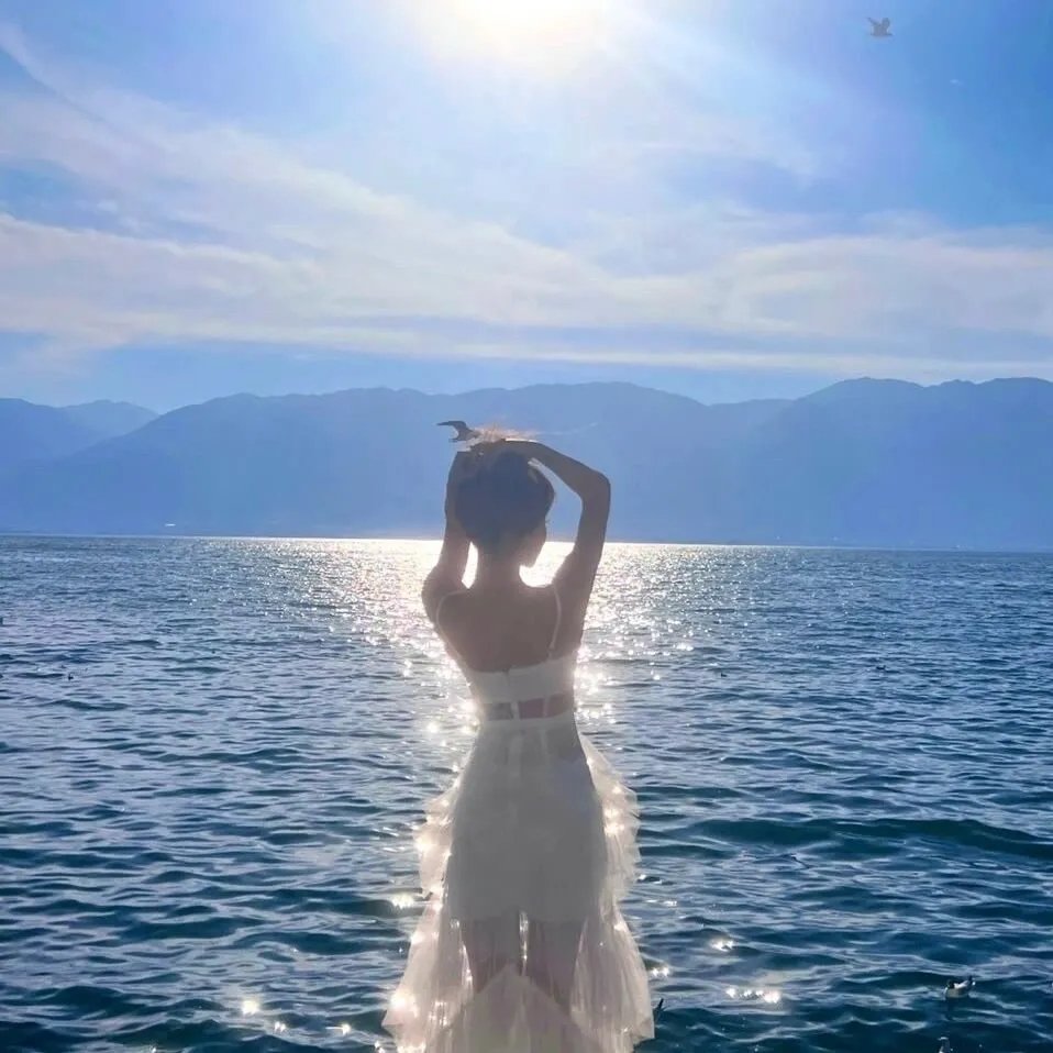 好莱坞以北