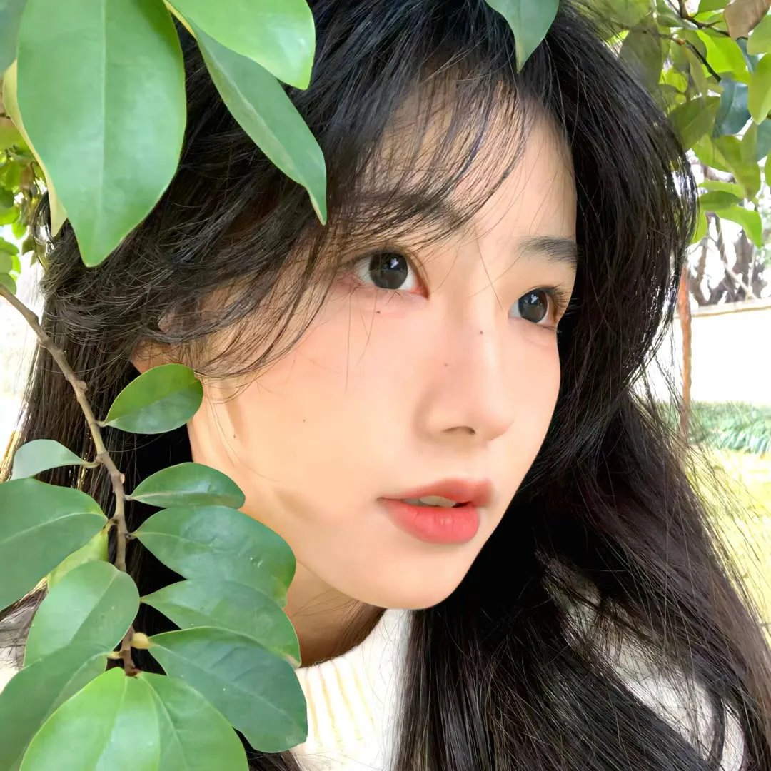 围城风暴
