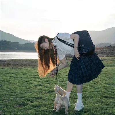 动物尖叫